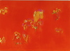 Orange_