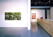 Gallery_view_2